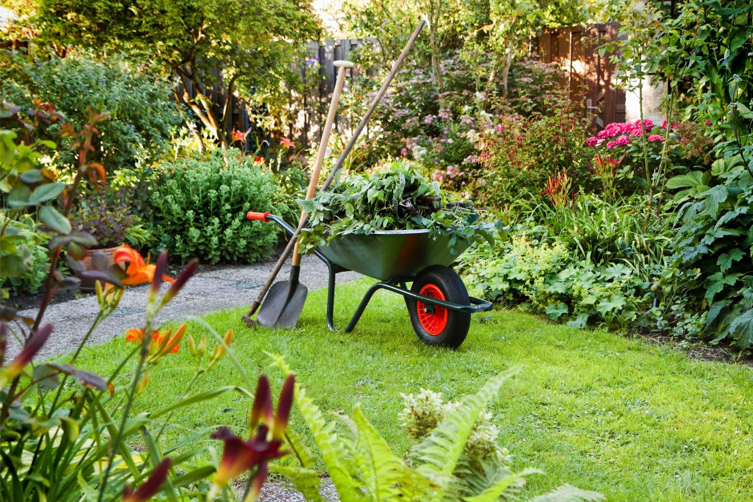 Gartengeräte und eine Schubkarre voller Gartenschnitt in einem üppigen Garten.